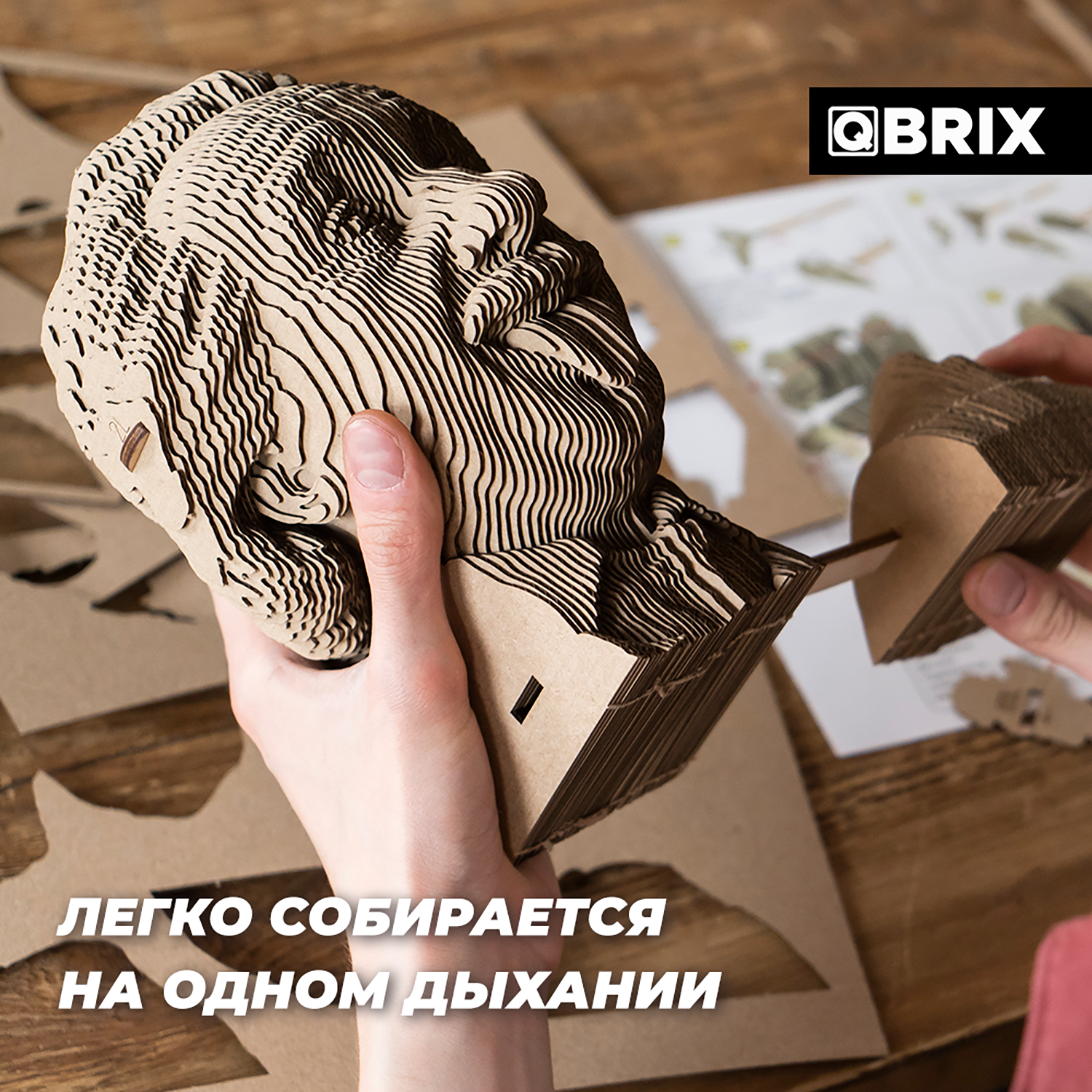 Пазл QBRIX Эйнштейн 3D - фото 5