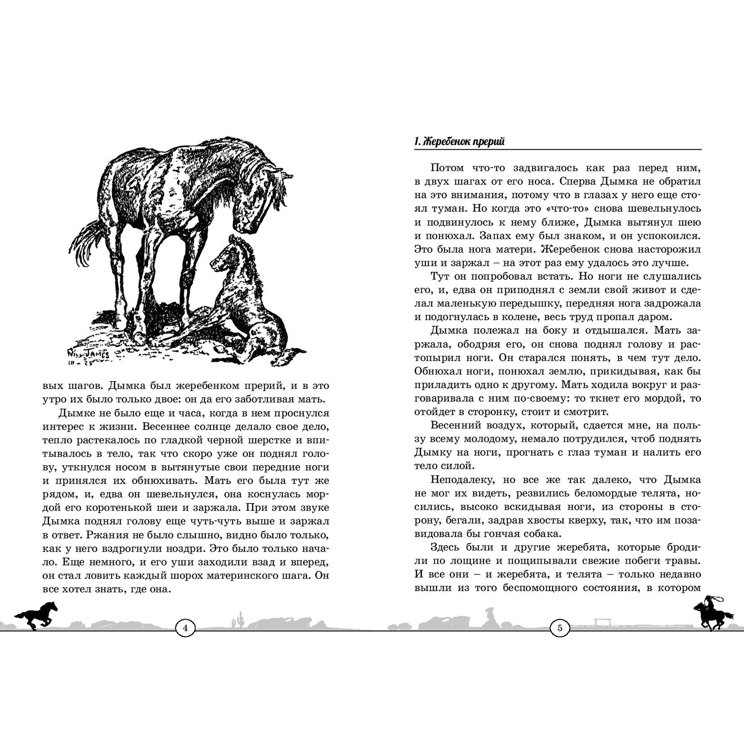 Книга ЭНАС-книга Дымка. Конь ковбоя - фото 2