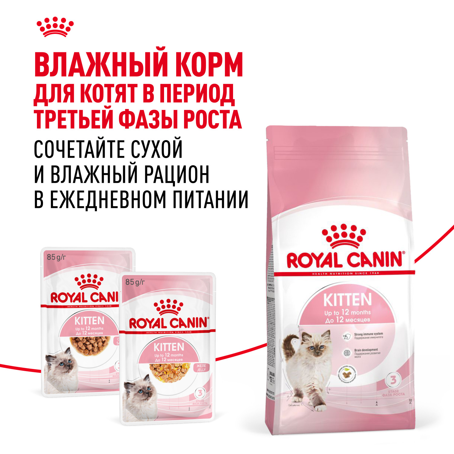 Корм сухой для котят ROYAL CANIN Kitten 2кг - фото 8