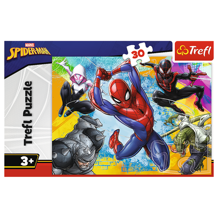 Пазл Trefl классический