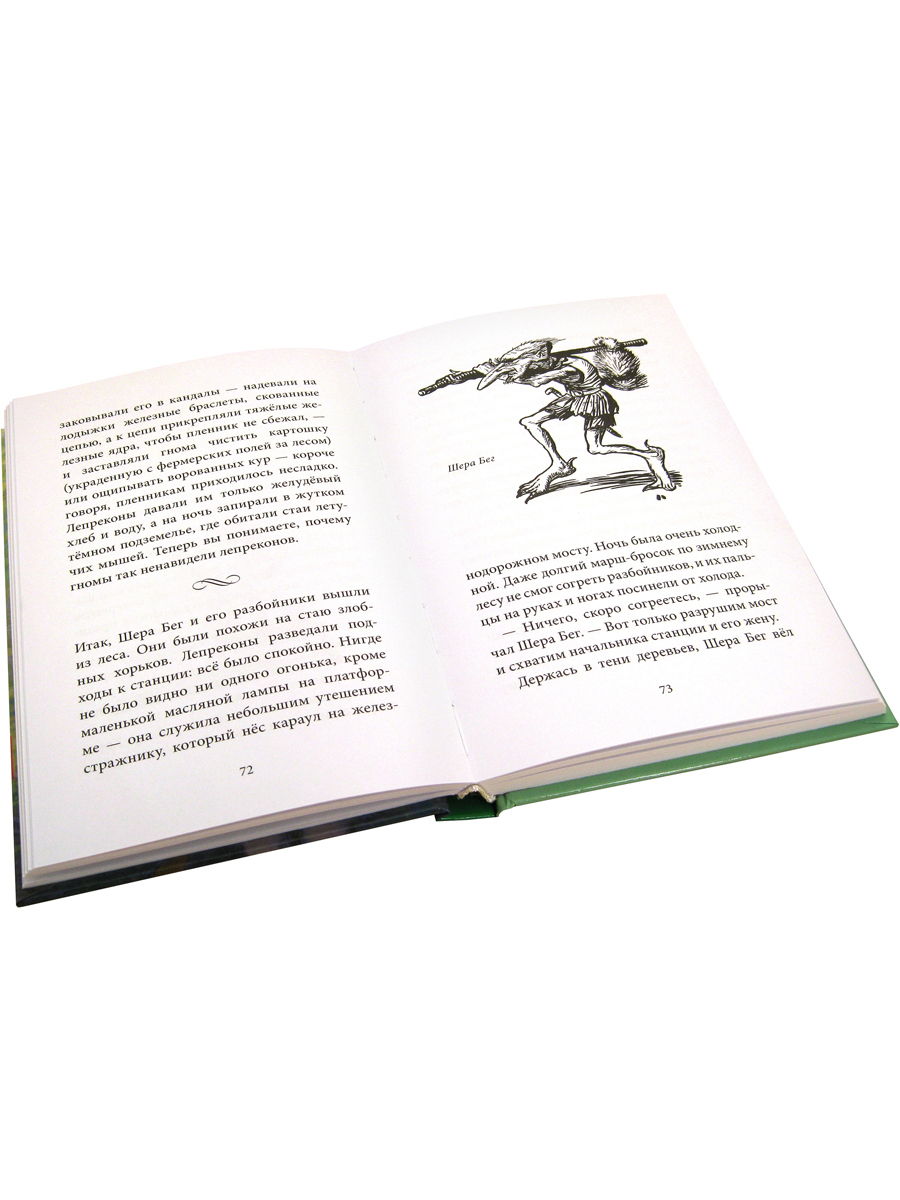 Комплект из 2-х книг/ Добрая книга / Гномы Боландского леса+ Волшебник/ Денис Уоткинс-Питчфорд - фото 7