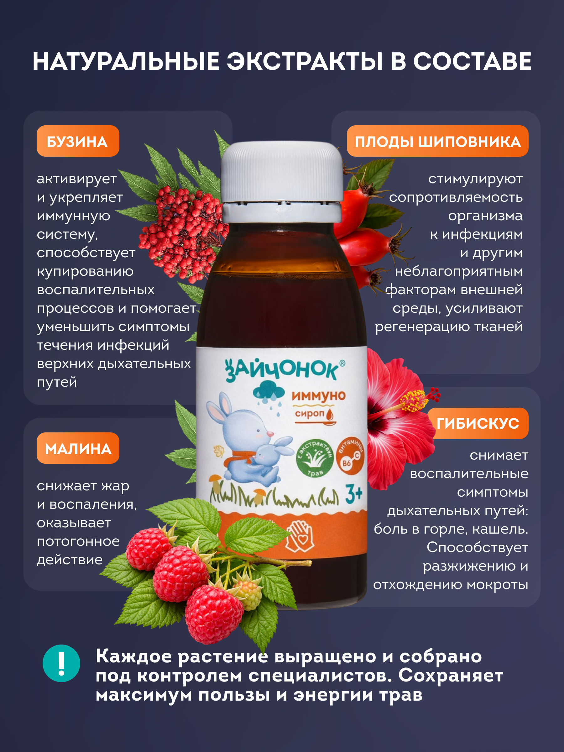 Сироп ЗДРАВЛАНДИЯ Зайчонок Иммуно 100 мл - фото 8