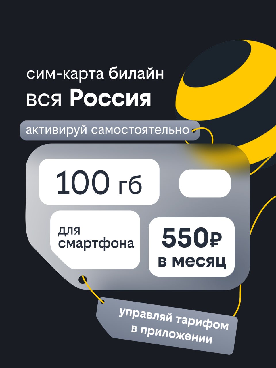 Сим-карта Билайн, Вся Россия, 100 ГБ - фото 1