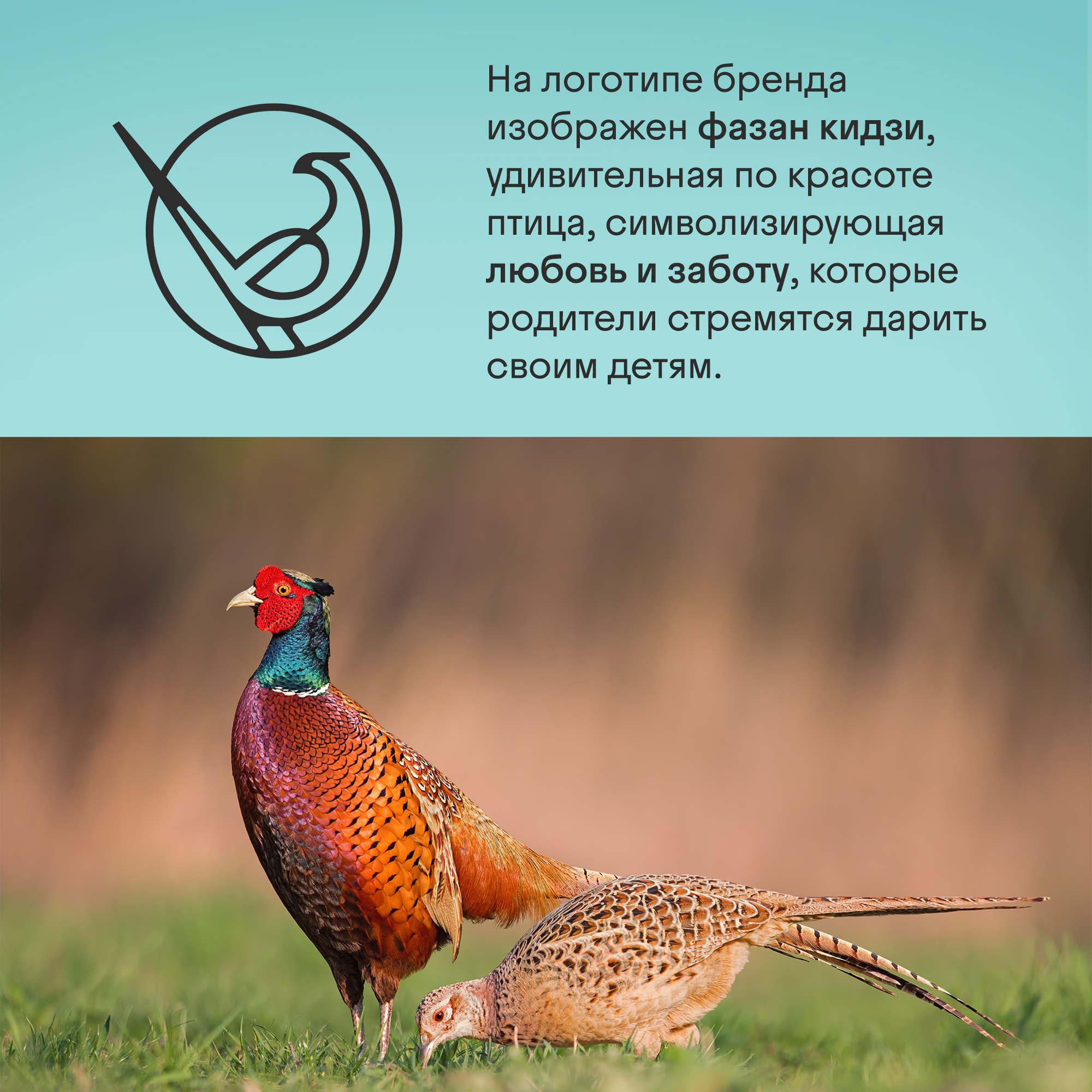 Горшок детский Kidzi Step-by-step, 3 в 1 - горшок-стульчик, бело-серый - фото 15
