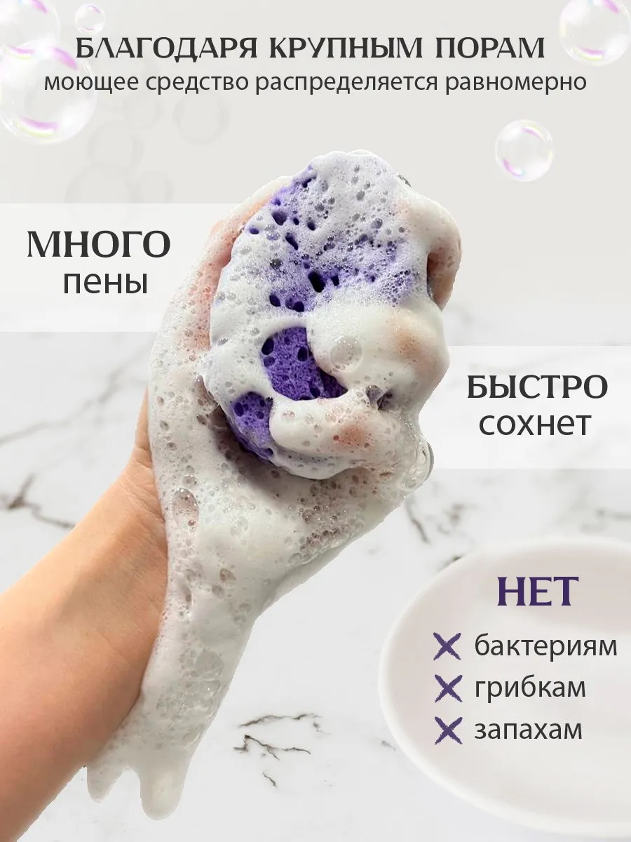 Губки PRO CLEANLY для мытья посуды для кухни поролоновые овальные набор - фото 3