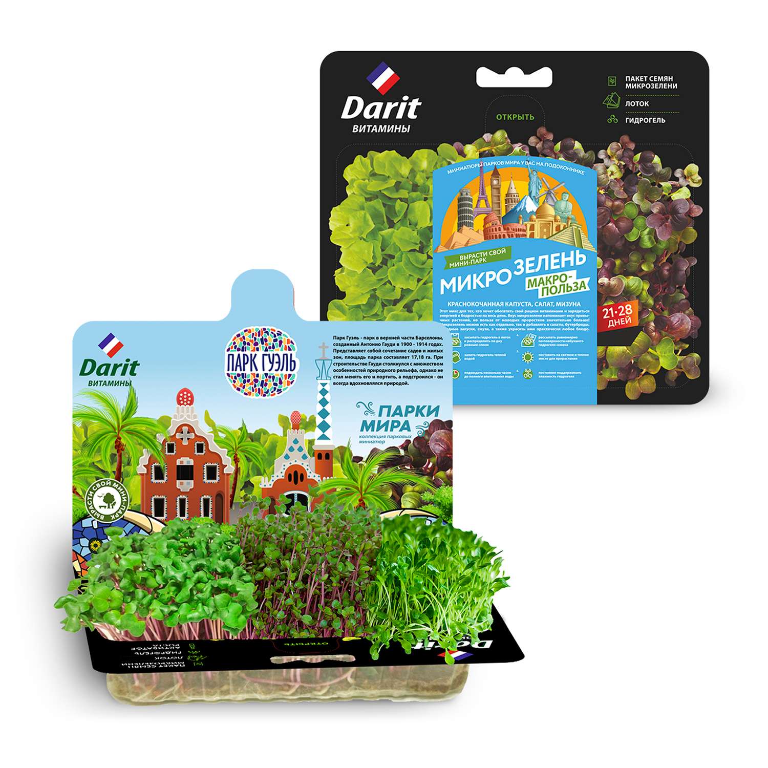 Набор для выращивания микрозелени . капуста салат мизуна 3г - фото 1