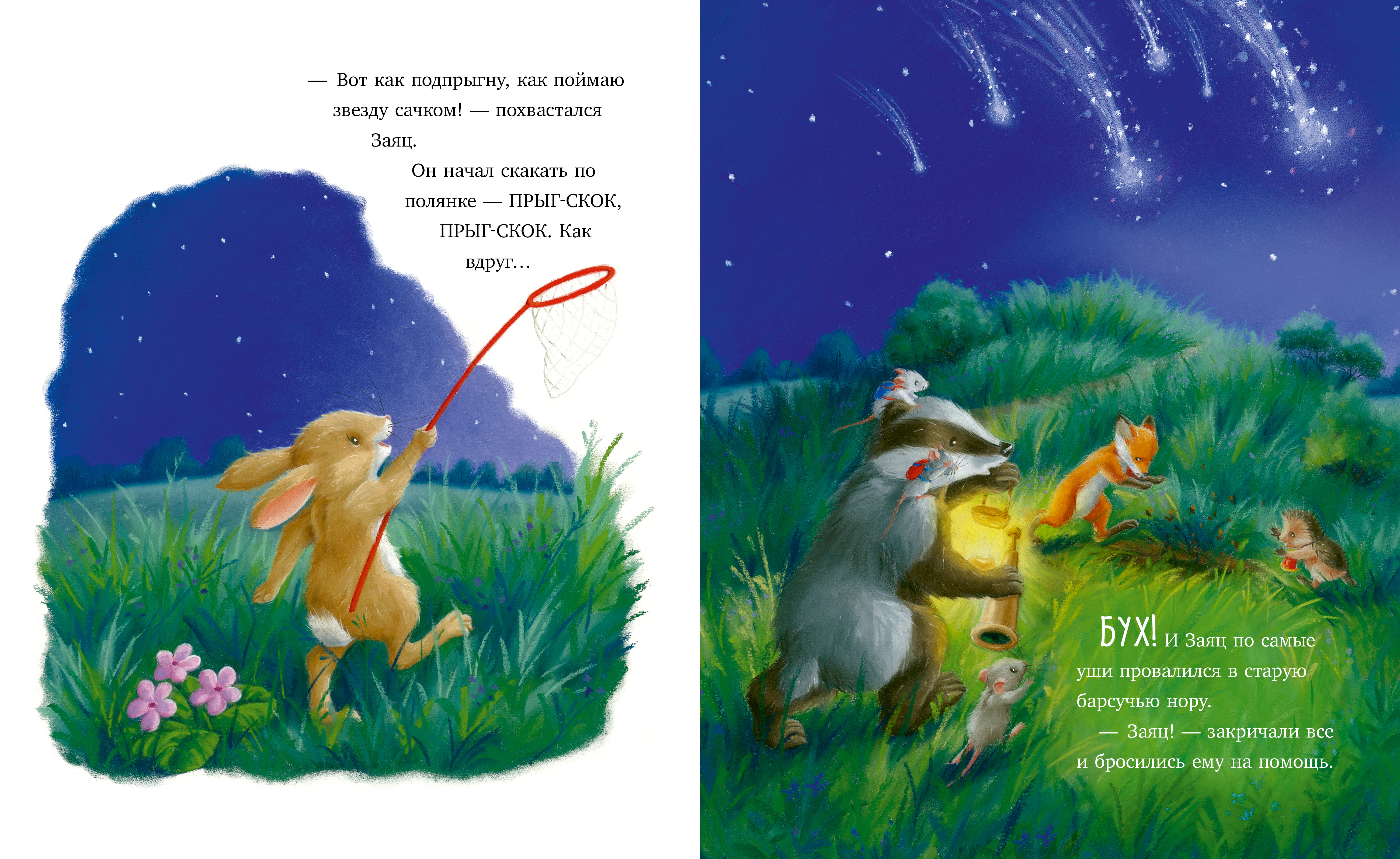 Книга Clever Приключения Ежульки - фото 3