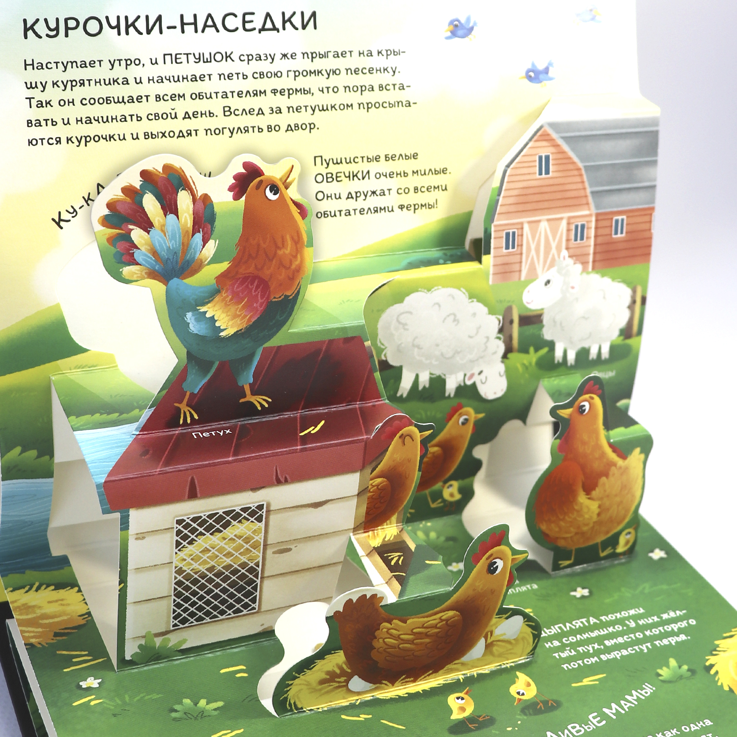 Набор энциклопедий Почемучка Malamalama 6 книг с объемными картинками - фото 10