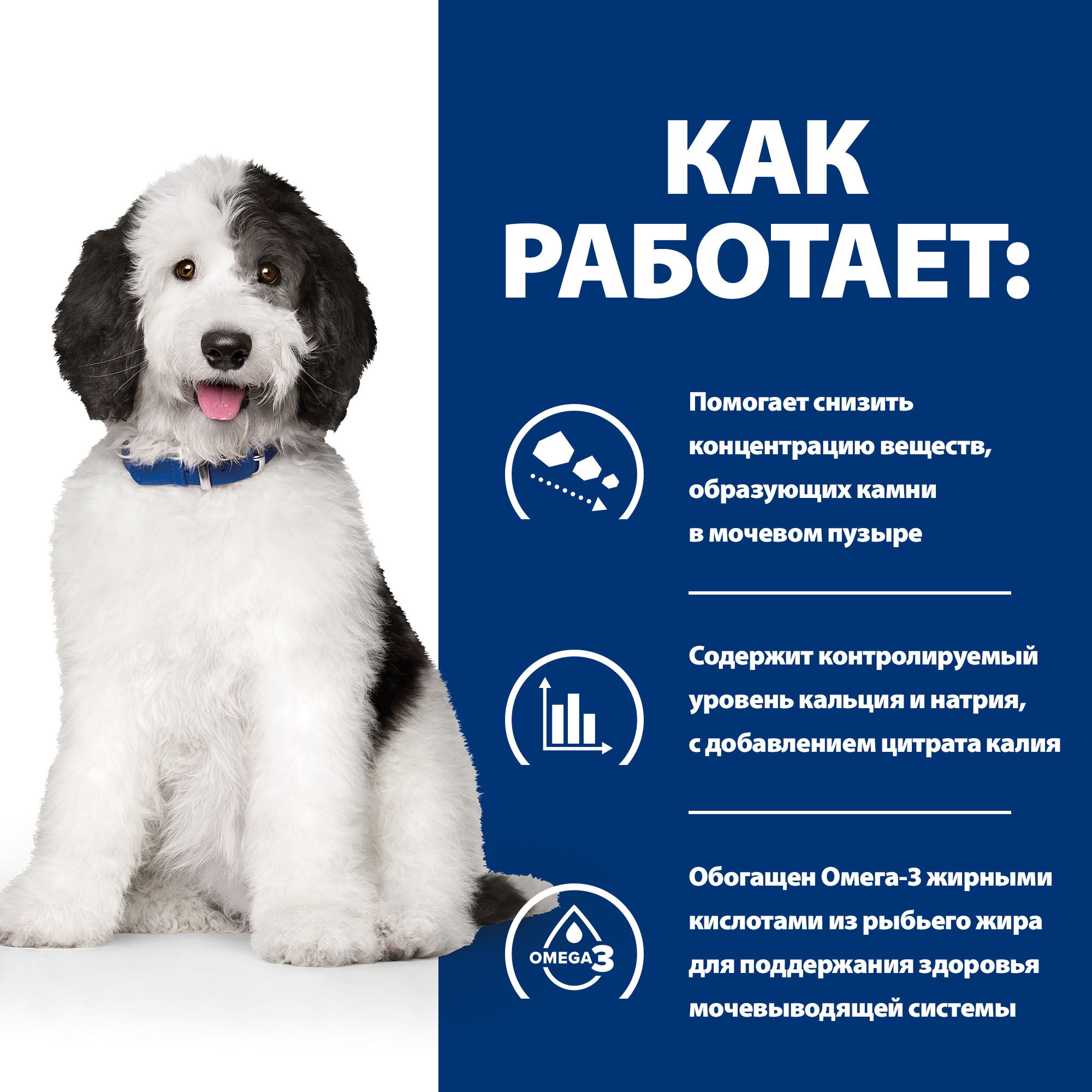 Корм для собак HILLS 12кг Prescription Diet c/d Urinary Care для МКБ с курицей сухой - фото 4