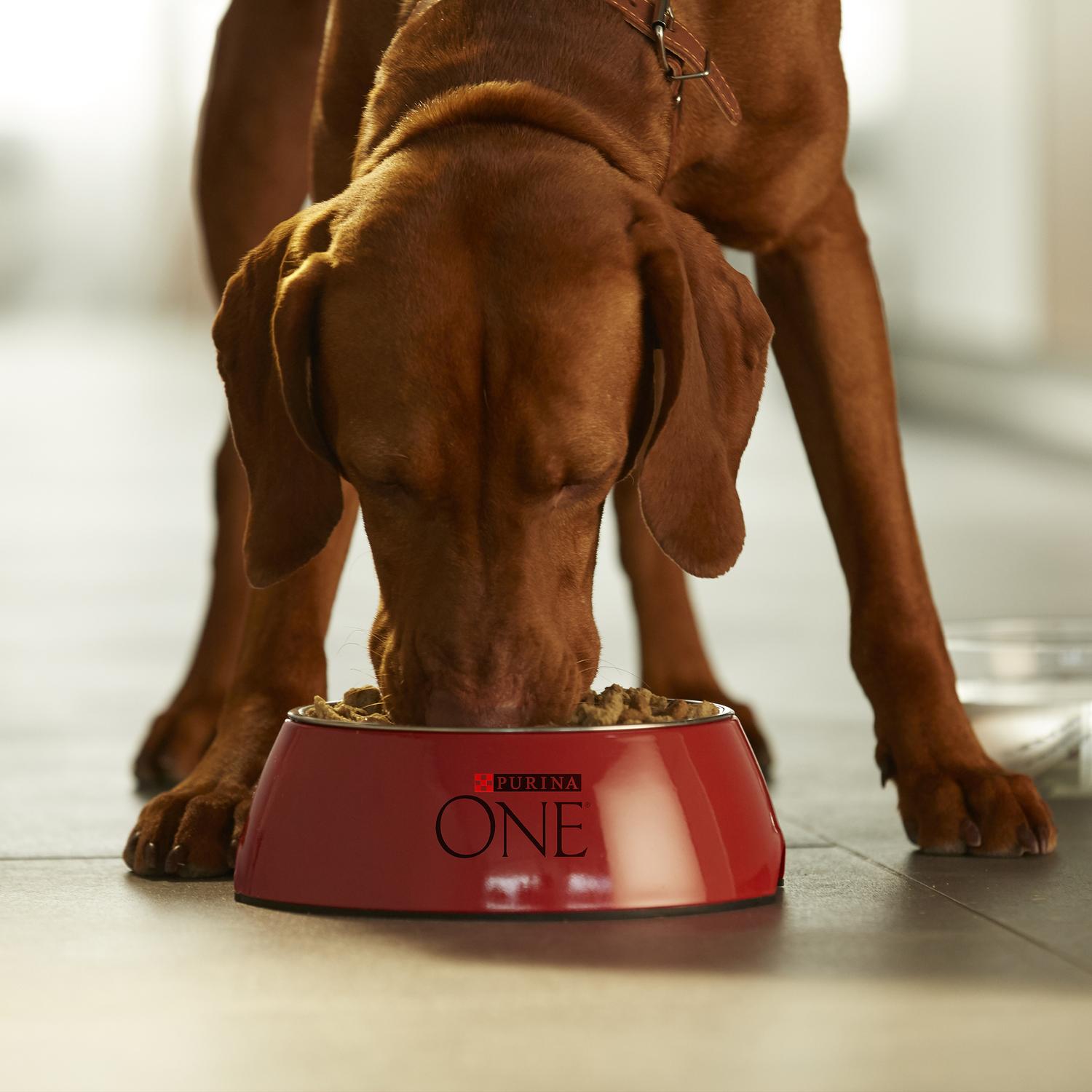 Корм для щенков Purina One средних и крупных пород курица-рис 1.8кг - фото 11
