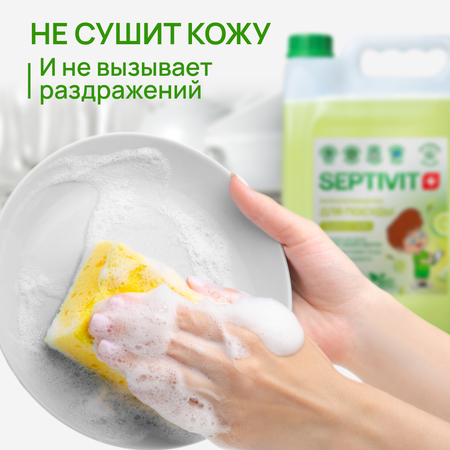 Средство для мытья посуды SEPTIVIT Ледяной лайм 5 л
