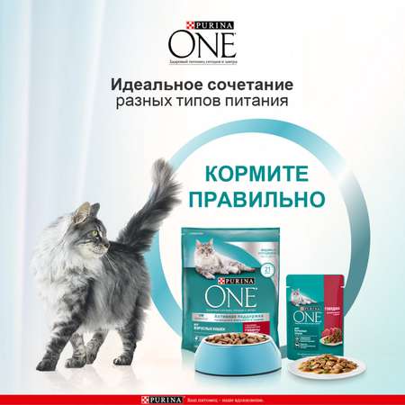 Корм для кошек Purina One с высоким содержанием говядины и цельными злаками сухой 750г