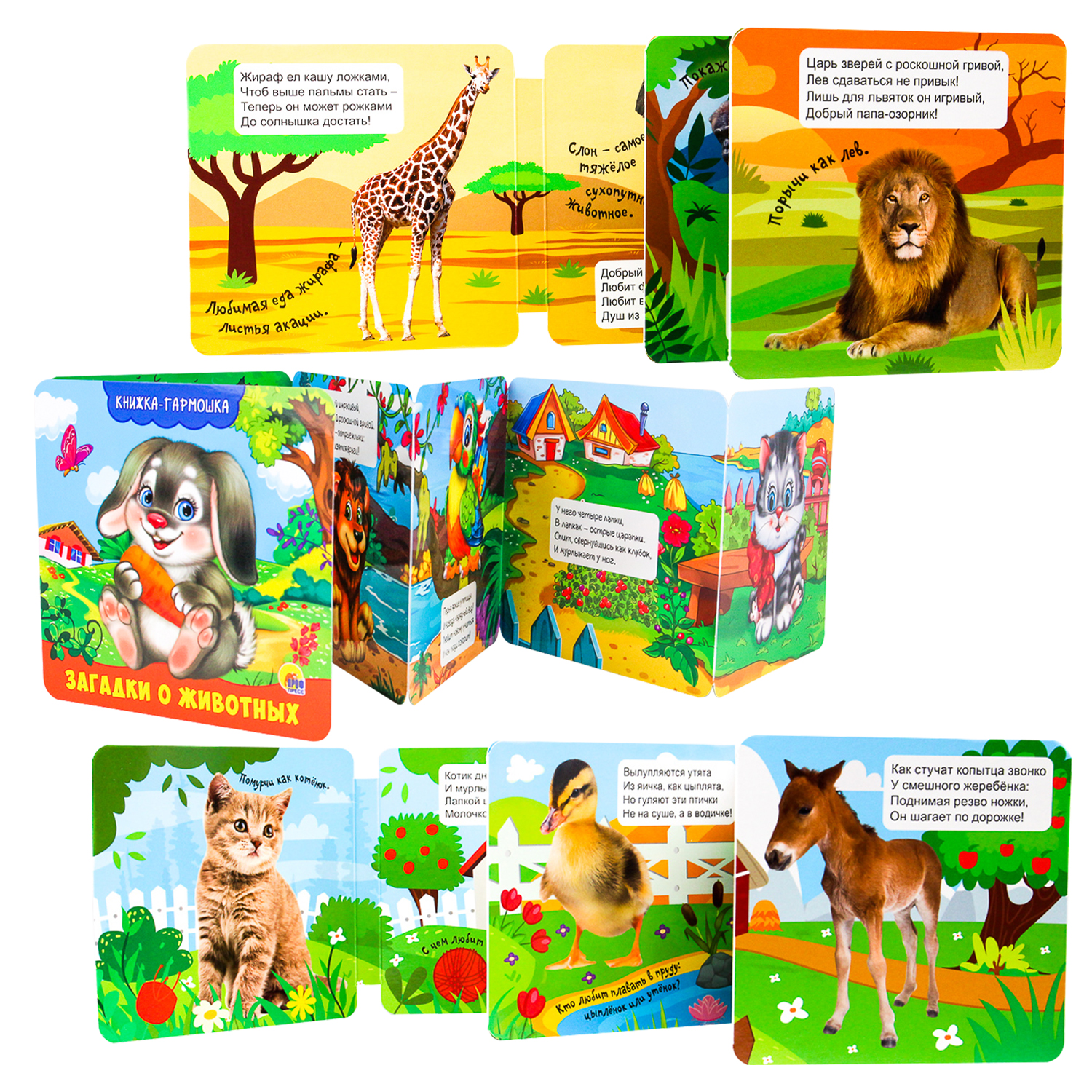 Книжка-гармошка Проф-Пресс Дикие животные+Домашние животные+Загадки о животных 3 шт - фото 2