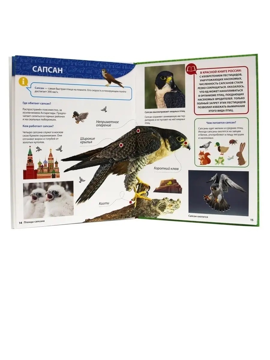 Книга Проф-Пресс Первая детская энциклопедия Всё о красной книге малышам - фото 2