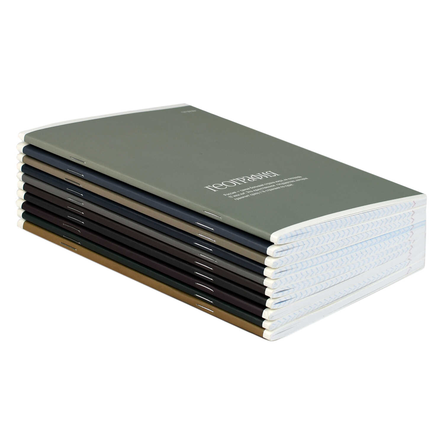 Тетрадь Феникс + 48 лист. 10 шт. (Алгебра, Геометрия, Физика, История, Биология, География, Химия, Английский язык, Русский язык, Литература) - фото 2