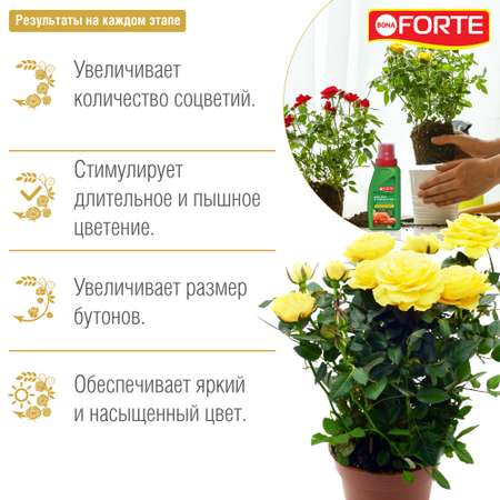 Жидкое минеральное удобрение Bona Forte Красота Для роз и хризантем 285 мл