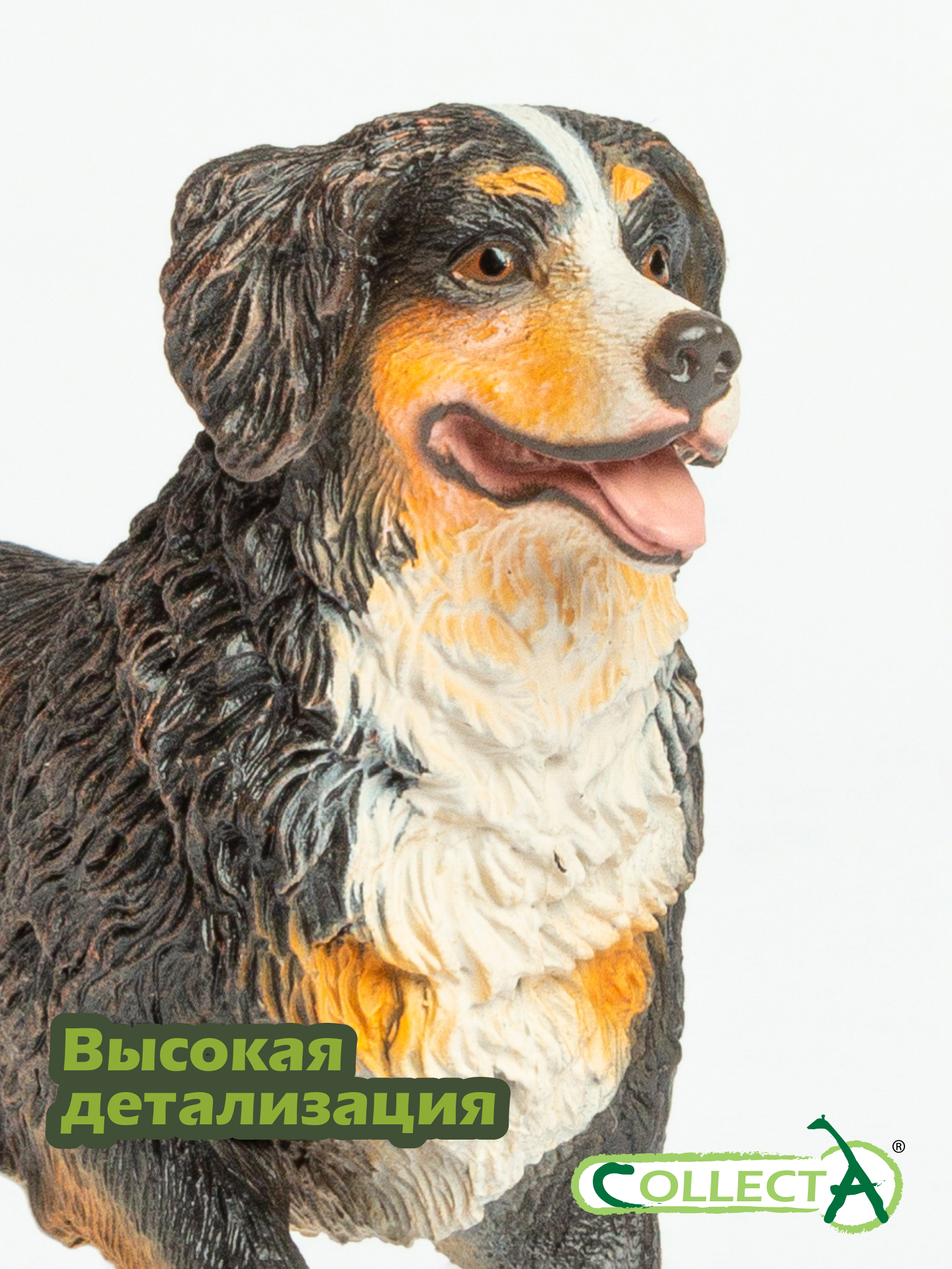 Фигурка Collecta Бернский зенненхунд - фото 3