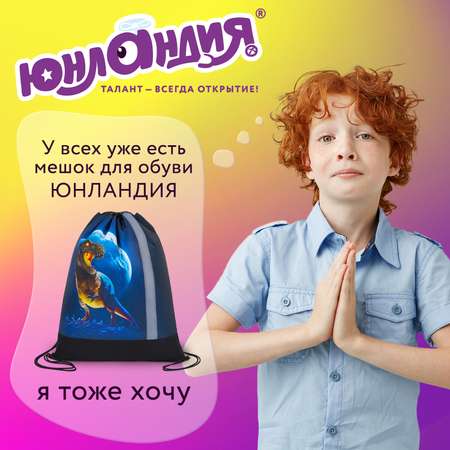 Мешок для обуви Юнландия