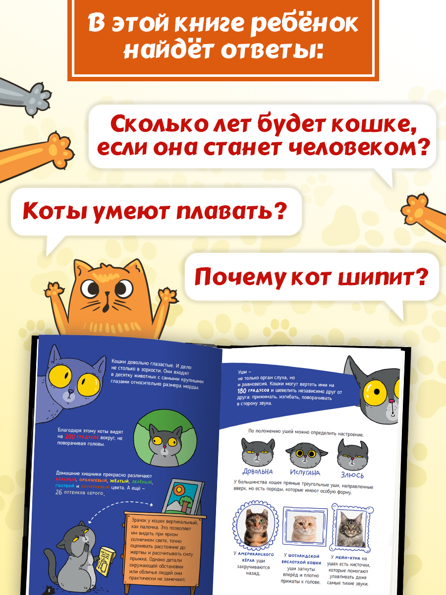 Книга Проф-Пресс детская энциклопедия Кошки. Большие секреты маленьких хищников - фото 3