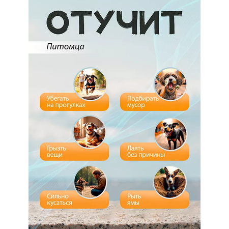 Электроошейник для собак SuperPets с пультом управления