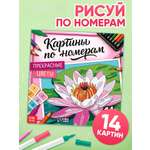 Раскраска Буква-ленд картина по номерам Прекрасные цветы 14 картин