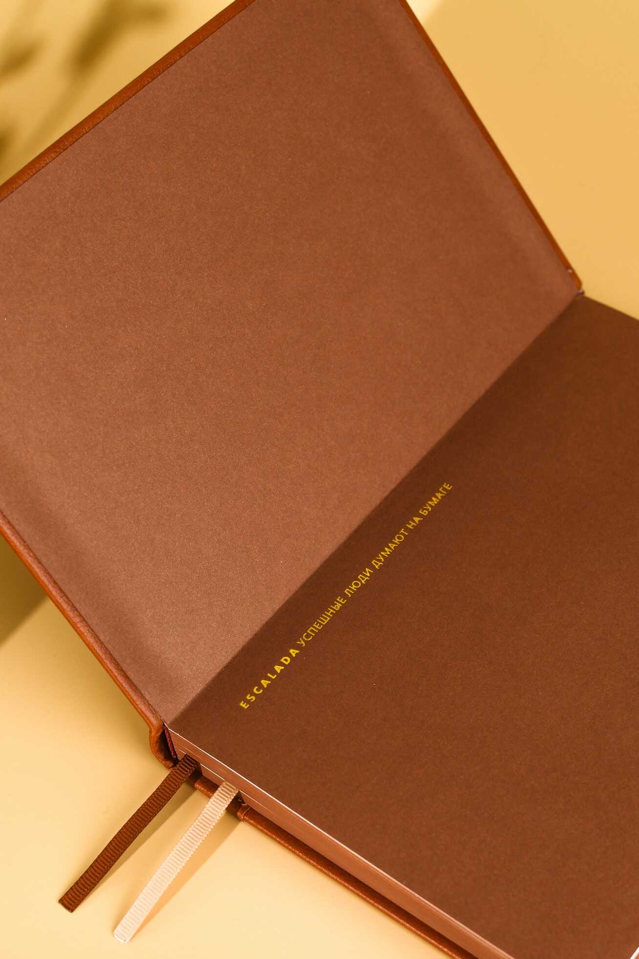 Ежедневник Феникс + ESCALADA 160 лист. - фото 9