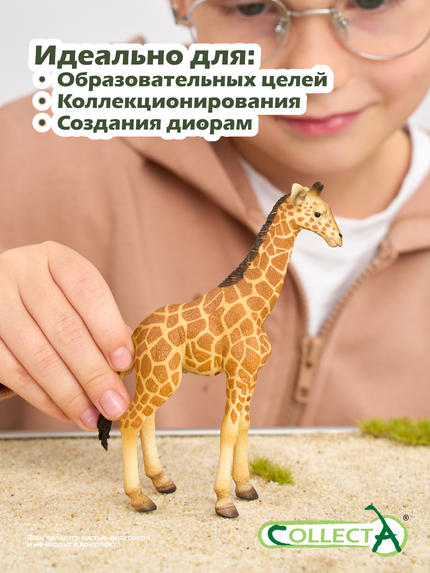 Фигурка Collecta Жеребенок Сетчатого Жирафа - фото 6