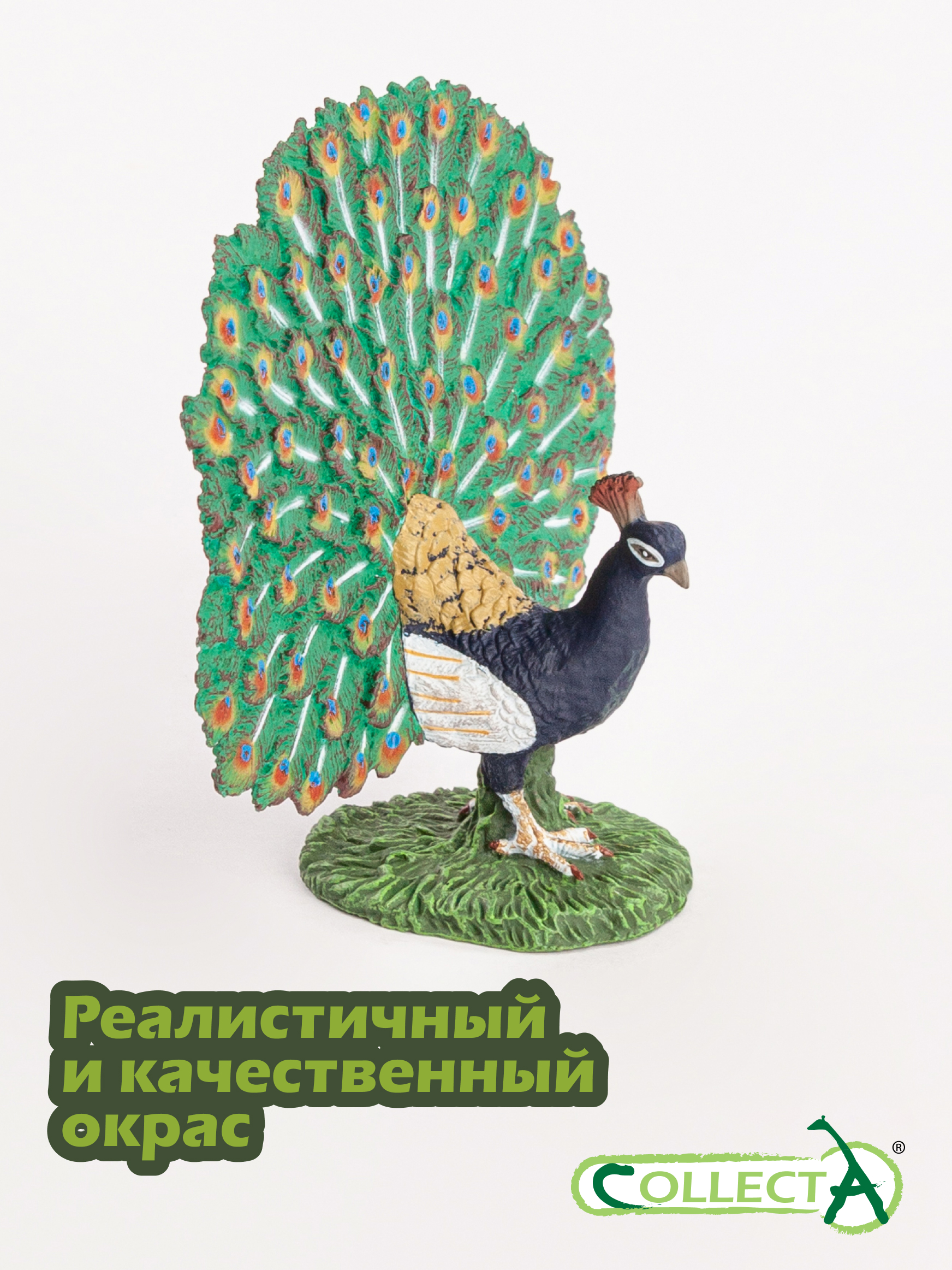 Фигурка Collecta Павлин - фото 4