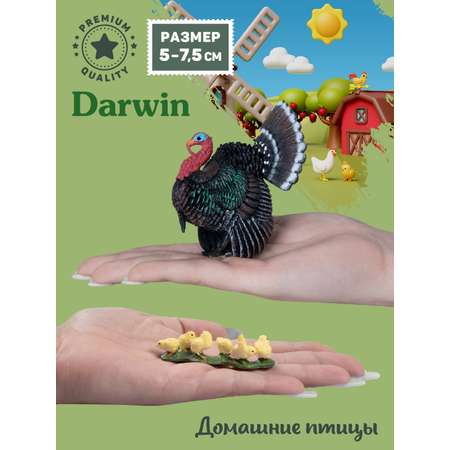Игровой набор DARWIN Домашние птицы 8 шт