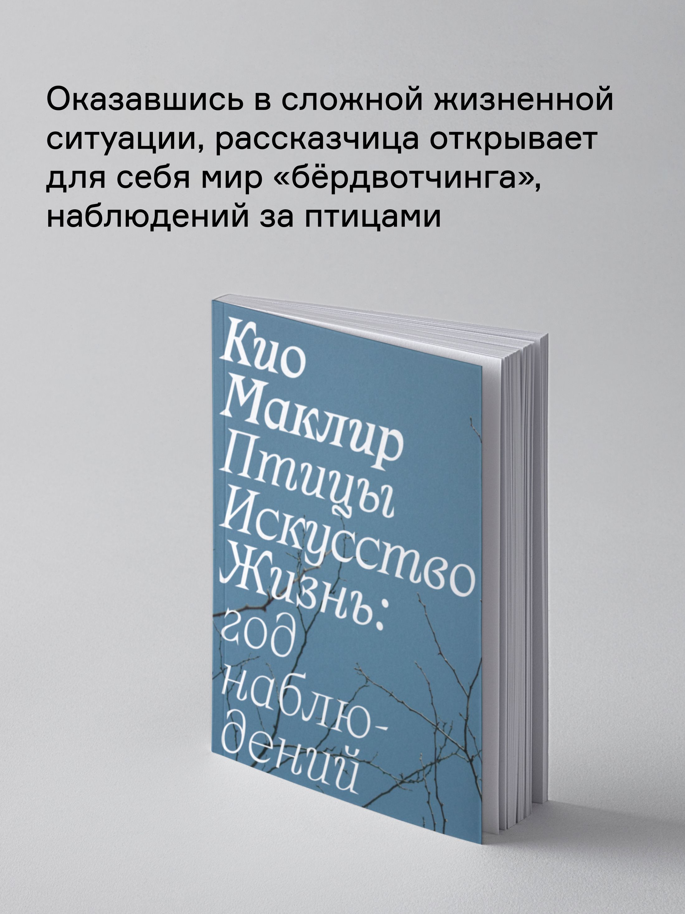 Книга Ad Marginem Птицы искусство жизнь год наблюдений - фото 2