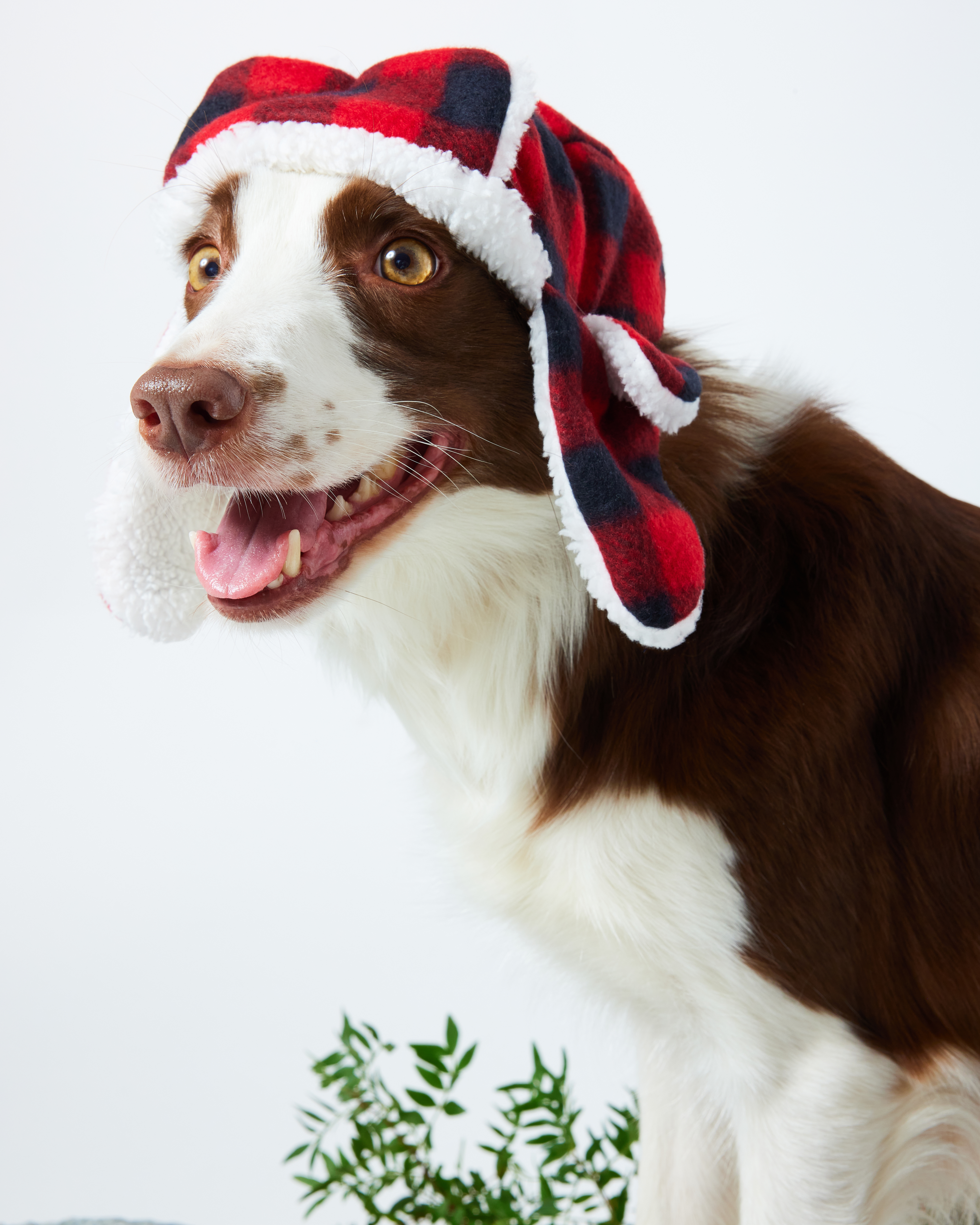 Шапка-ушанка для собак и кошек Зоозавр - фото 12