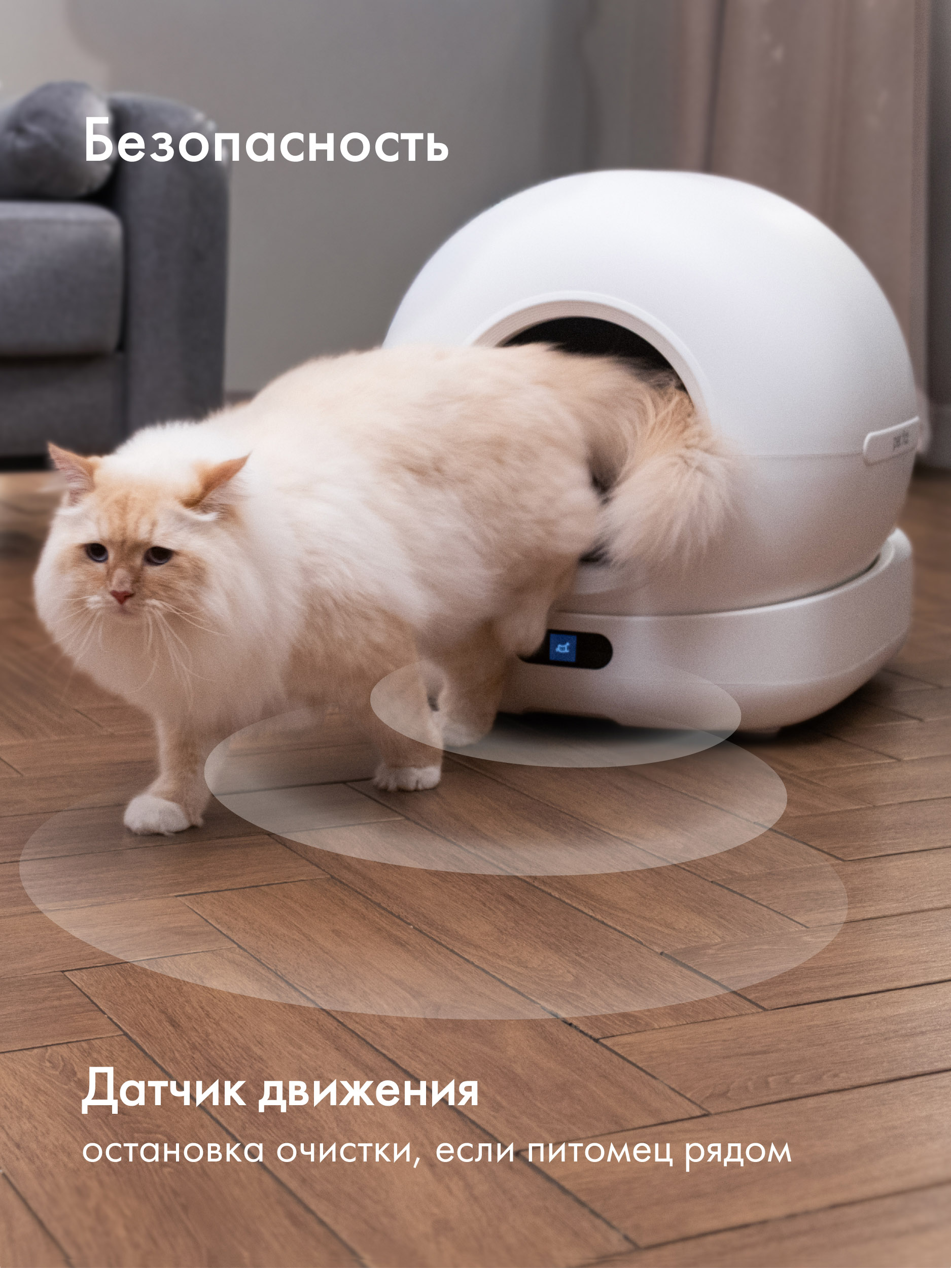 Умный лоток для кошек Pet Flat Автоматический, с приложением - фото 2