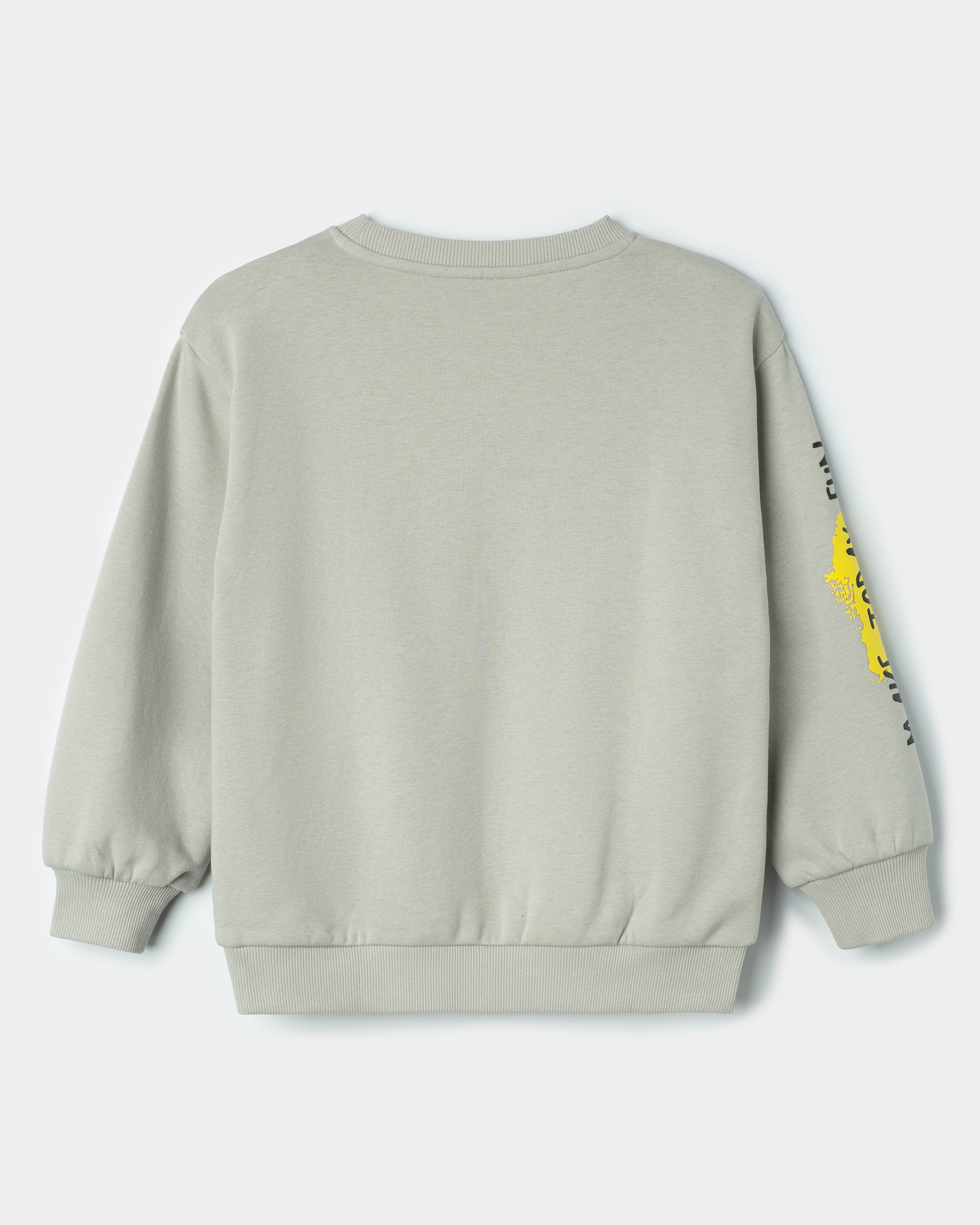 Свитшот Futurino FB-AW25-52FUkb-GG - фото 3