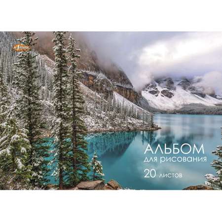Альбом №1 School А4 20 лист. 4 шт.