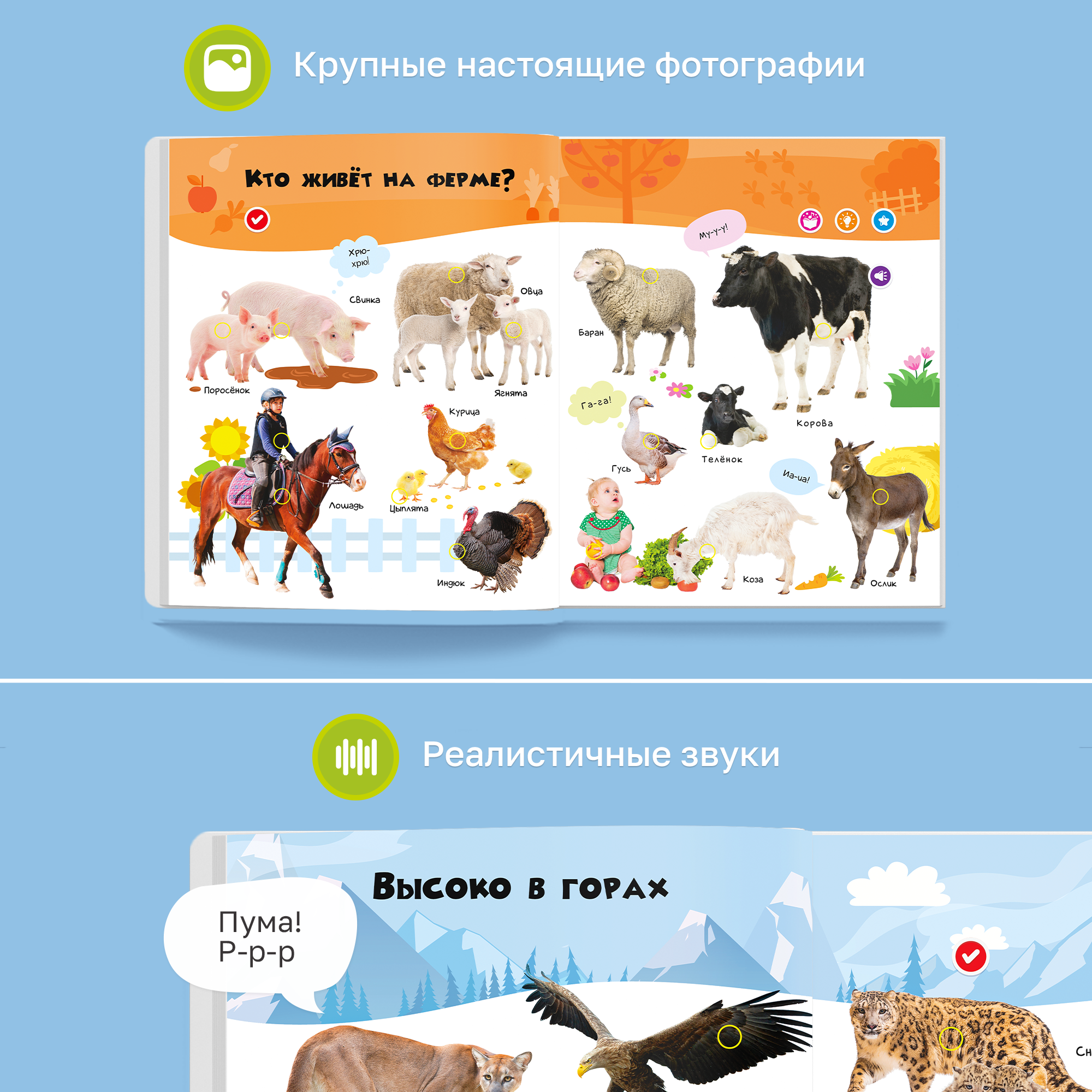 Комплект говорящих книжек BertToys Нажималки: Животные + Я и Мир Вокруг - фото 9