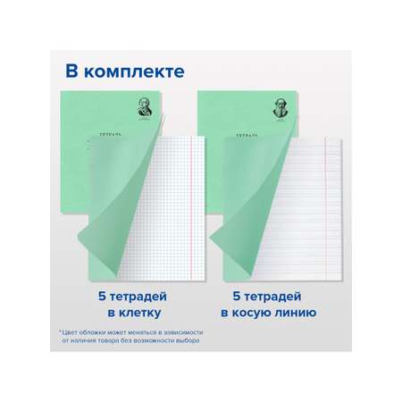 Набор школьника Brauberg 43 предм.