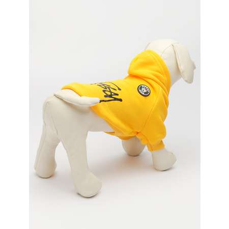 Толстовка для собак PIFPAF DOG