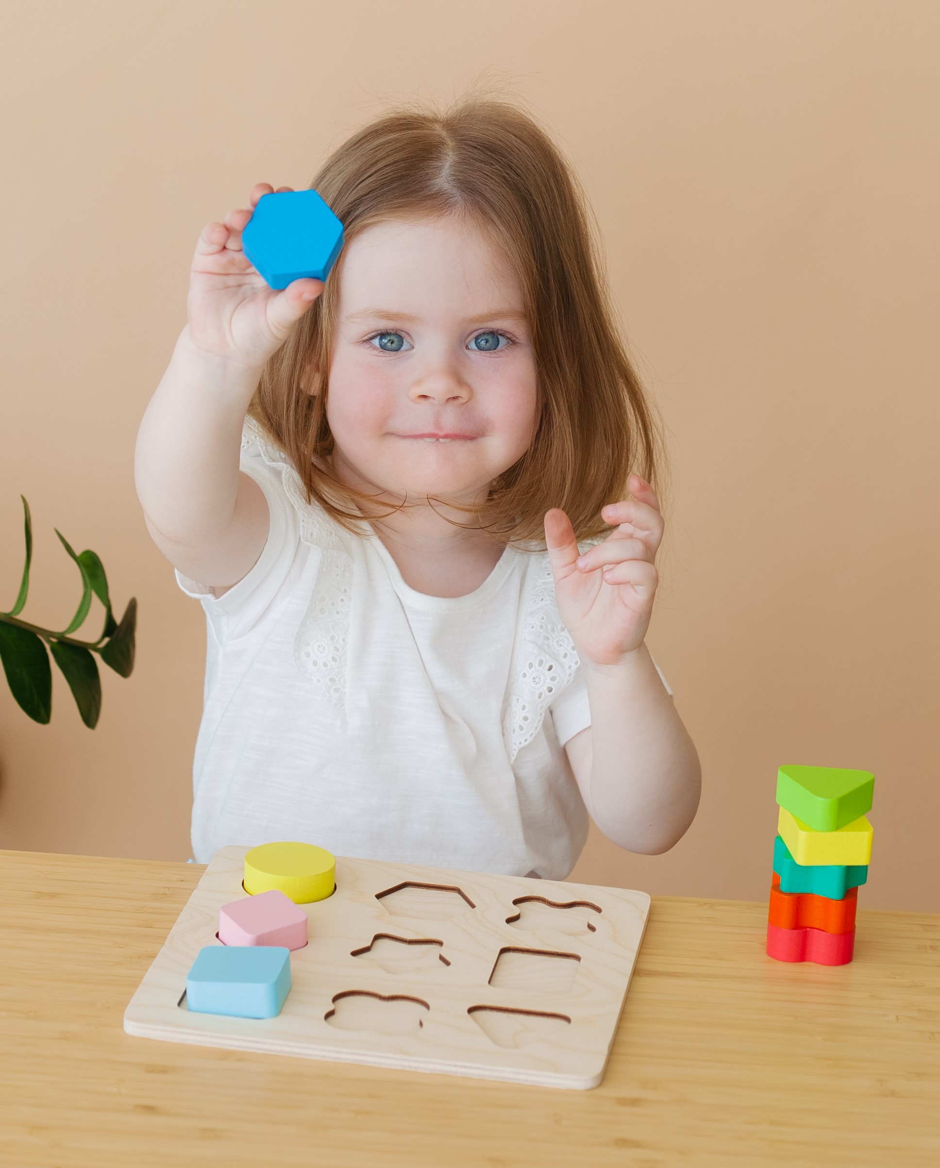 Игрушка Alatoys сортер - фото 11