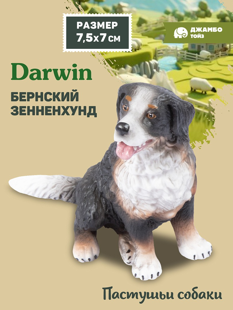 Фигурка DARWIN Собака Бернский Зенненхунд - фото 1