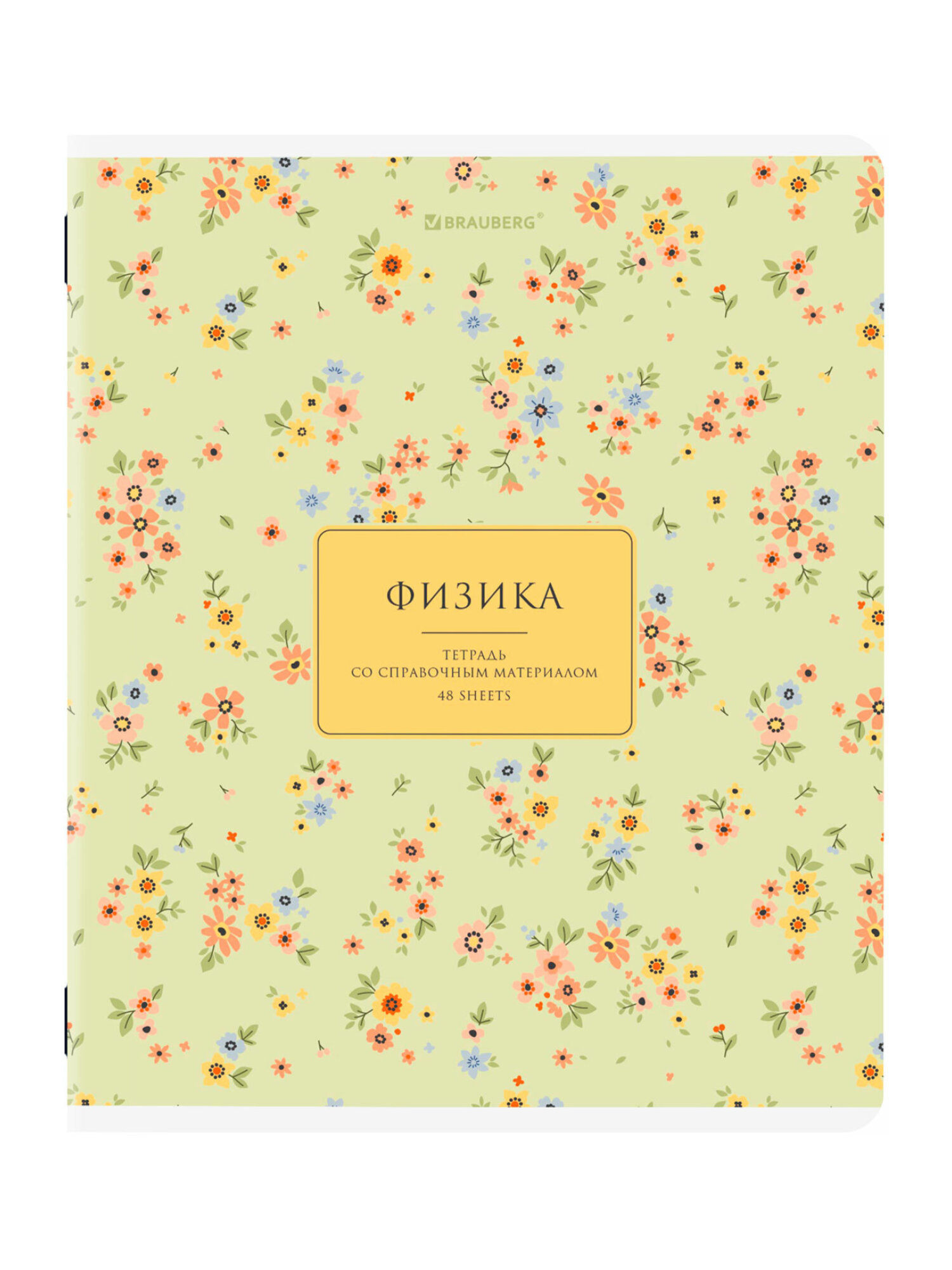 Тетрадь Brauberg 48 лист. 12 шт. - фото 9