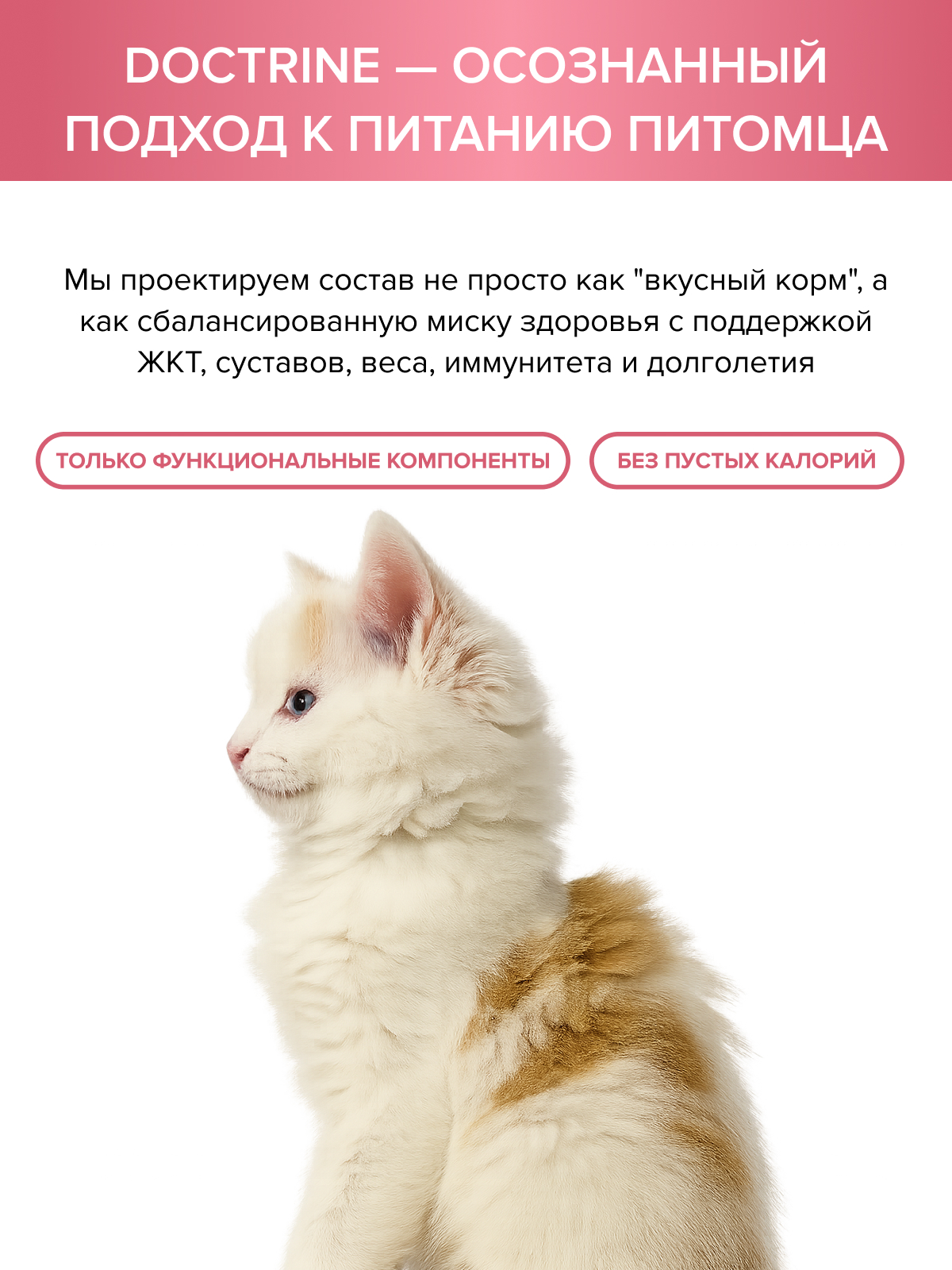 Корм для котят DOCTRINE сухой с индейкой и рисом 3 кг - фото 10