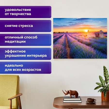 Алмазная мозаика Остров Сокровищ Лавандовое поле