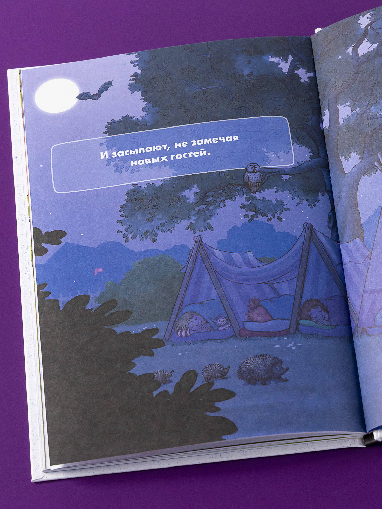 Книга Альпина. Дети Комиксы с Конни Звёзды дружбы - фото 4