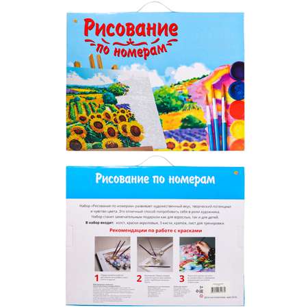 Картина по номерам Рыжий кот Красивый город в горах