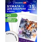 Художественная бумага Brauberg для акварели 15 лист.