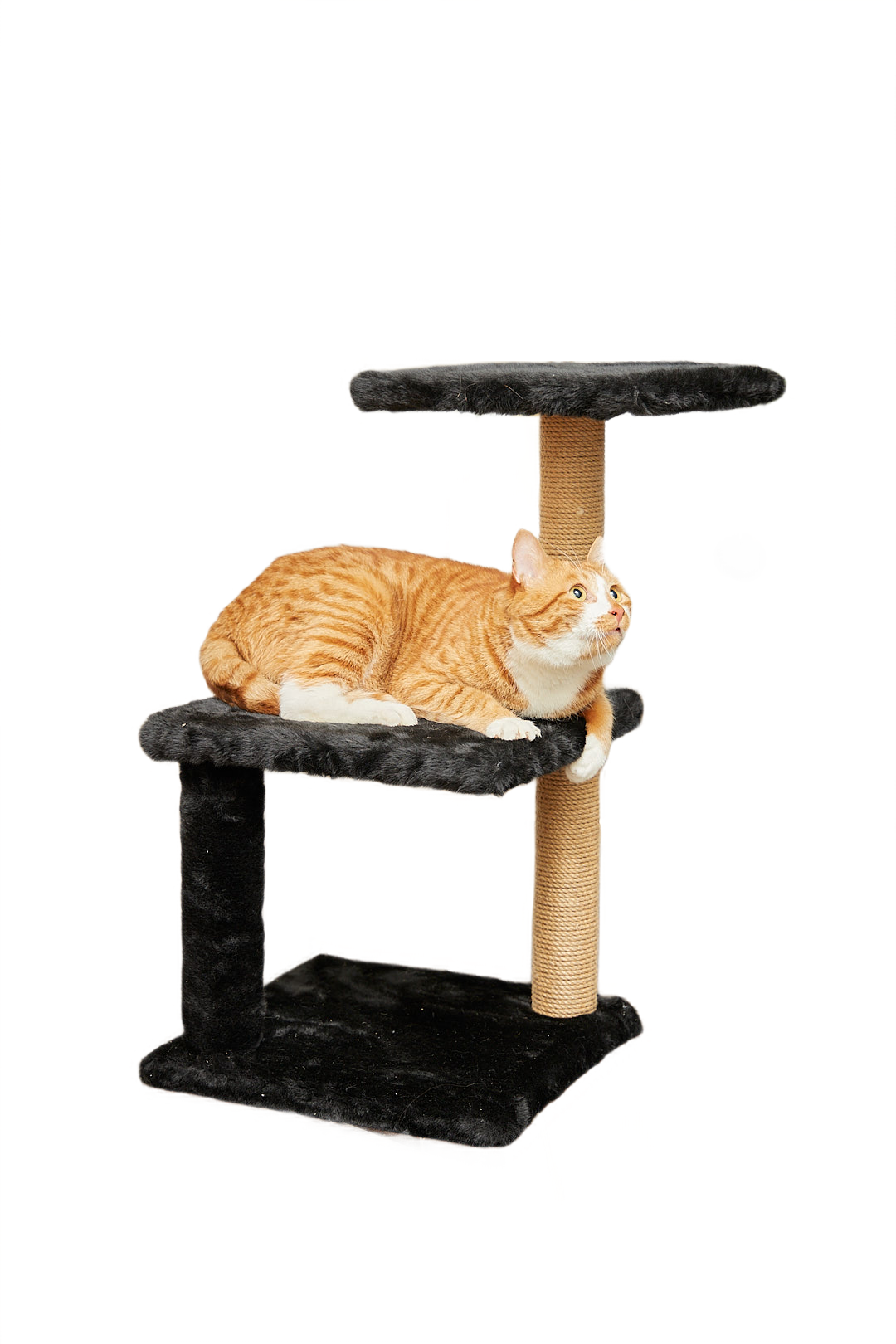 Когтеточка для кошек лежанка Pet БМФ Черный - фото 1