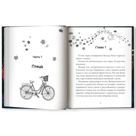 Книга Феникс Чудеса. Книга для подростков