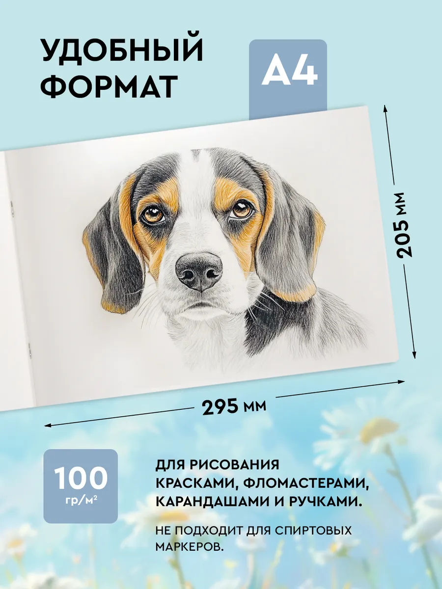 Альбом SCHOOLFORMAT А4 24 лист. - фото 2