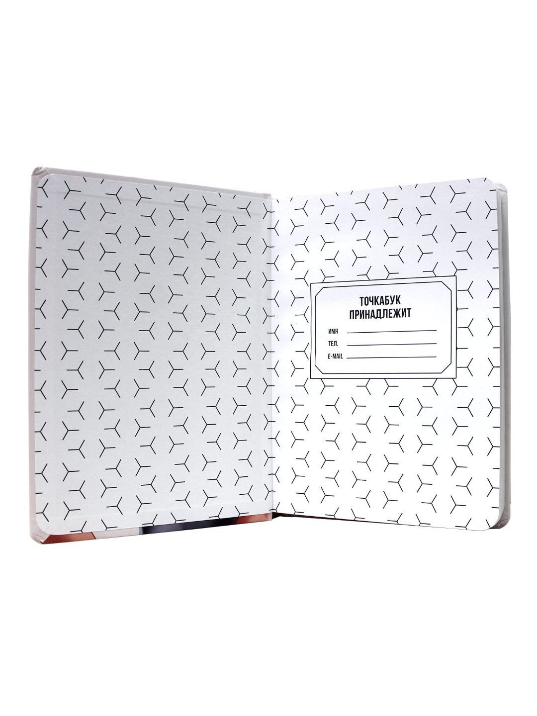 Блокнот Проф-Пресс Точкабук Девушка А5 72 лист. - фото 4