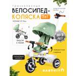 Трехколесный велосипед Babyhit 10 дюймов
